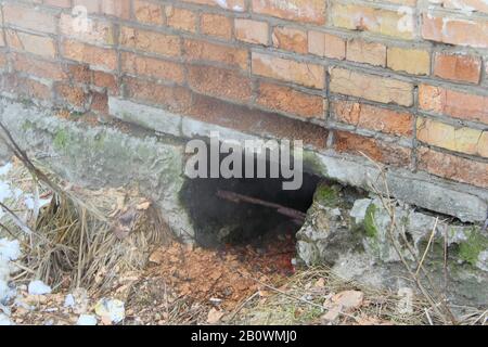 Loch in einer Ziegelwand eines Hauses, das Fundament des Hauses mit Moos bedeckt, Baumüll, Trümmerschutt. Stock Fotowith leerer Raum für Text und Design. Stockfoto