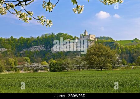 Schloss Rudelsburg, Bad Kösen, Saaleck, Sachsen-Anhalt, Deutschland, Europa Stockfoto