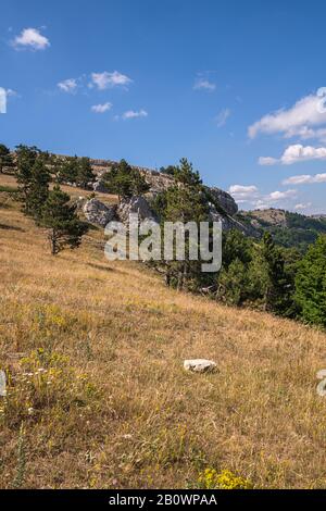 Die natürliche Landschaft auf dem Aj-Petri Berg in Krim Stockfoto