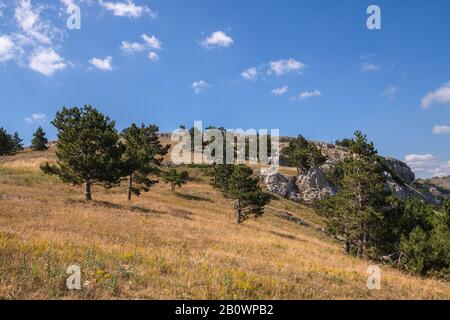 Die natürliche Landschaft auf dem Aj-Petri Berg in Krim Stockfoto