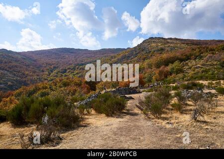 Wanderer, die sich im Herbst auf dem Pfad Senda de Carretas in Hayedo de Tejera Negra (Parque Natural Sierra Norte de Guadalajara, Cantalojas, Spanien) ausruhen Stockfoto