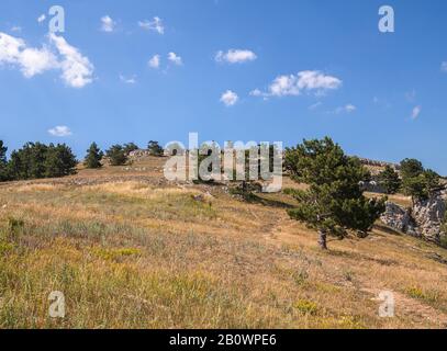 Die natürliche Landschaft auf dem Aj-Petri Berg in Krim Stockfoto