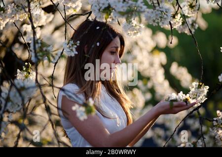 Porträt einer jungen Frau mit Kirschblüten Stockfoto