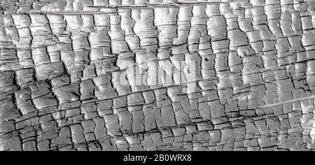 Verkohlter Holzklotz, schwarz gebranntes Baumstück als abstrakter Hintergrund oder Textur Stockfoto