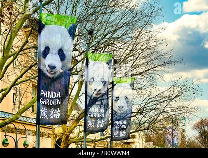 Berlin, Deutschland - 21. Februar 2020: Drei Werbebanner, die die beiden jungen Pandas fördern, die im Zoologischen Garten Berlin zu sehen sind. Stockfoto