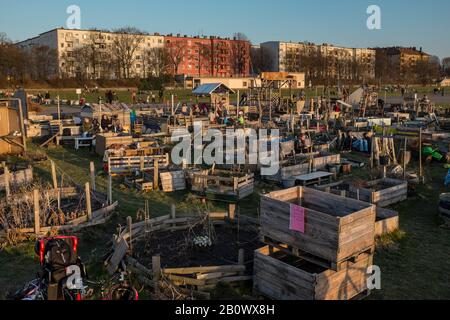 Bezirksgarten Schillerkiez, Stadtgärtnerei an der Tempelhofer Freiheit, Tempelhofer Park auf dem ehemaligen Flugplatz Tempelhof, Tempelhof, Berlin, Deutschland, Europa Stockfoto