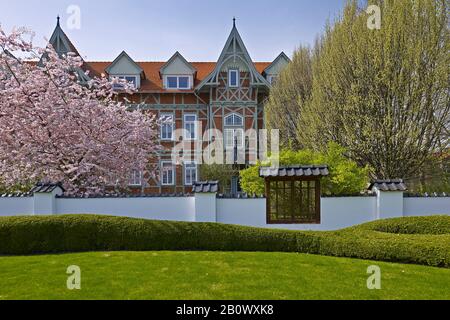 Japanischer Garten in Bad Langensalza, Thüringen, Deutschland, Europa Stockfoto