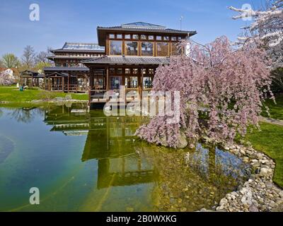 Japanischer Garten in Bad Langensalza, Thüringen, Deutschland, Europa Stockfoto