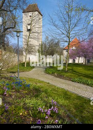 Arboretum mit Nordturm der Stadtmauer und Dreifaltigkeitskirche in Bad Langensalza, Thüringen, Deutschland, Europa Stockfoto