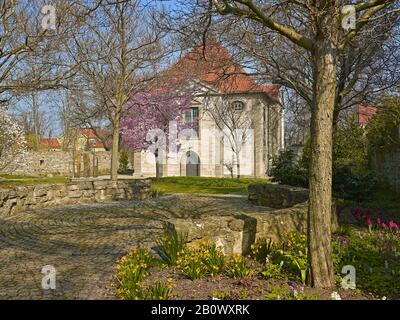 Arboretum mit Dreifaltigkeitskirche in Bad Langensalza, Thüringen, Deutschland, Europa Stockfoto