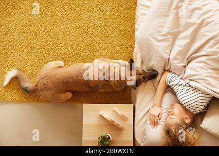 Hochwinkeliger Blick auf den deutschen Hirten, der in der Nähe des Besitzers liegt, während die Frau in ihrem Bett liegt und schläft Stockfoto