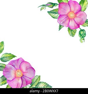 Aquarell, quadratischer Rahmen mit Rosettenhüften. Rosafarbene Blumen, Blätter in den Ecken mit Platz für Text. Für Hochzeitsdruck und soziale Netzwerke. Rosa c Stockfoto