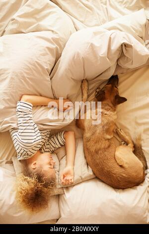 Hochwinkeliger Blick auf junge Frau, die mit ihrem Haustier in der Nähe von ihr im Bett im Schlafzimmer zu Hause schläft Stockfoto