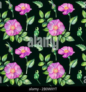 Nahtloses Wasserfarbenmuster mit Rosettenhüften. Rosa Blumen, Blätter, Blumensträuße auf schwarzem Hintergrund. Frühlingsdesign für Hochzeitseinladungen und soziales Netz Stockfoto