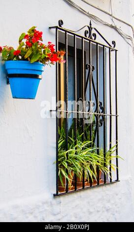 Typische Fassade der Häuser von Mijas, Málaga, dekoriert mit Blumen in blauen Töpfen und weißen Fassaden Stockfoto