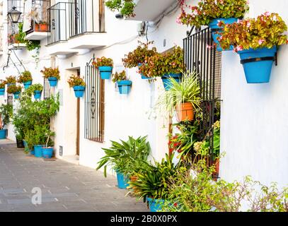 Typische Fassade der Häuser von Mijas, Málaga, dekoriert mit Blumen in blauen Töpfen und weißen Fassaden Stockfoto