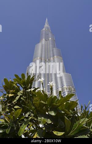 Burj Khalifa vor blauem Himmel, Frangipani, exotische Blume, Architektur, Dubai Business Bay, Emirat Dubai, Vereinigte Arabische Emirate, Arabische Halbinsel, Naher Osten, Stockfoto