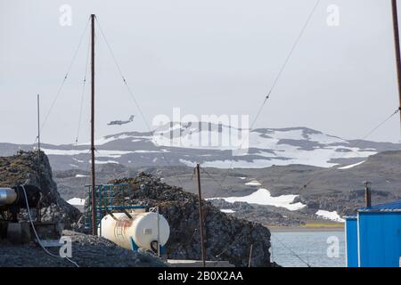 Ein Flugzeug, das Touristen in die Antarktis bringt, die auf der Frei-Station auf King George Island auf den Süd-Shetland-Inseln in der Antarktis landet. Stockfoto