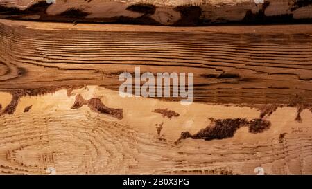 Gelbe Bretter, Holzwand, Hintergrund oder Textur Stockfoto