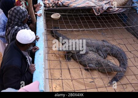 Qaynona va kuyov porno onlayn