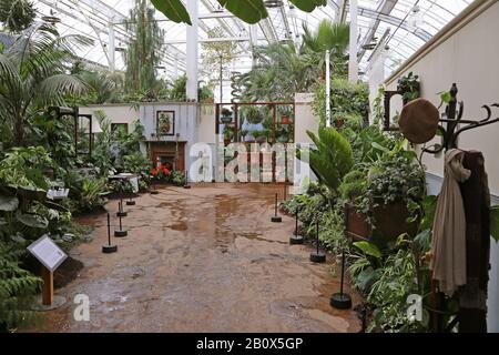 Eingangshalle, Giant Houseplant Takeover, Glasshouse, RHS Garden Wisley, Woking, Surrey, England, Großbritannien, Großbritannien, Großbritannien, Großbritannien, Europa Stockfoto