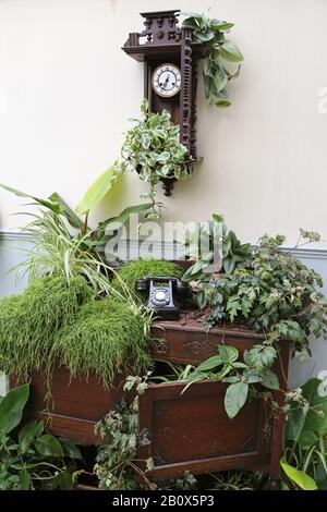 Eingangshalle, Giant Houseplant Takeover, Glasshouse, RHS Garden Wisley, Woking, Surrey, England, Großbritannien, Großbritannien, Großbritannien, Großbritannien, Europa Stockfoto