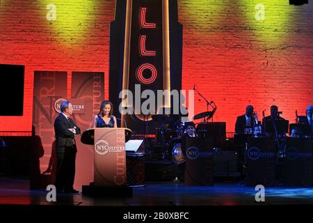 New York, NY, USA. November 2008. Bürgermeister Michael R. Bloomberg, Vanessa Williams bei den Bürgermeisterpreisen für Kunst und Kultur 2008 zur Feier herausragender Beiträge zum kulturellen Leben in New York City im Apollo Theater. Kredit: Steve Mack/Alamy Stockfoto