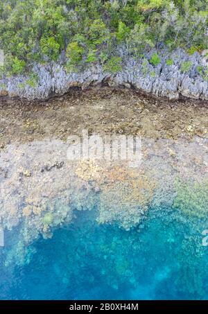 Gesunde Korallenriffe umsäumen abgelegene Kalksteininseln inmitten von Raja Ampat, Indonesien. Diese erstaunliche abgelegene Region ist berühmt für ihre hohe biologische Vielfalt im Meer. Stockfoto