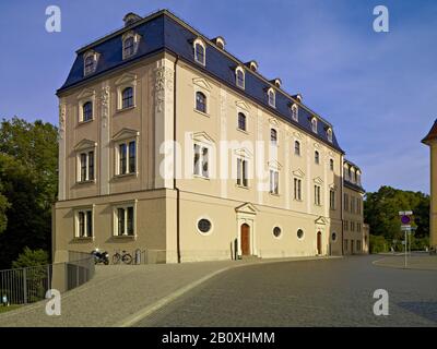 Herzogin Anna-Amalia-Bibliothek am Platz der Demokratie, Weimar, Thüringen, Deutschland, Stockfoto