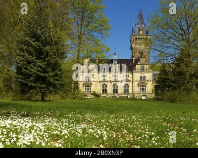 Jagschloss Hummelshain, Saale-Holzland-Kreis bei Kahla, Thüringen, Deutschland, Stockfoto