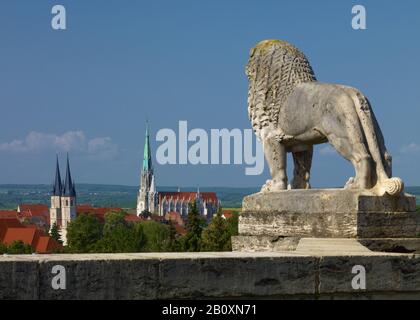 Blick vom Löwen auf den Jakobus und die Marienkirche in Mülhausen, Thüringen, Deutschland, Stockfoto