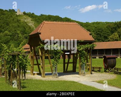 Thüringer Weintor mit der Sonnenburg, Bad Sulza, Thüringen, Deutschland, Stockfoto