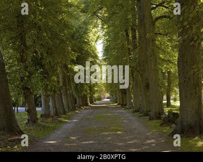 Garten des Landgerichts Ottersberg, Landkreis Verden, Niedersachsen, Deutschland, Stockfoto