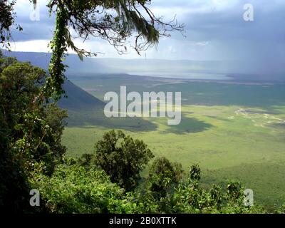 Blick vom Rand auf den Ngorongoro-Krater, Tansania, Ngorongoro-Nationalpark Stockfoto