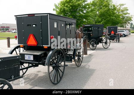 Amish Buggies, Indiana, USA, von James D Coppinger/Dembinsky Photo Assoc Stockfoto