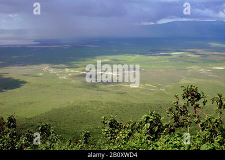 Blick vom Rand auf den Ngorongoro-Krater, Tansania, Ngorongoro-Nationalpark Stockfoto