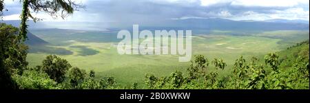 Blick vom Rand auf den Ngorongoro-Krater, Tansania, Ngorongoro-Nationalpark Stockfoto