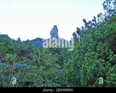 Bewaldete Vulkaninsel Rarotonga, Polynesien, Rarotonga Cookinseln Stockfoto