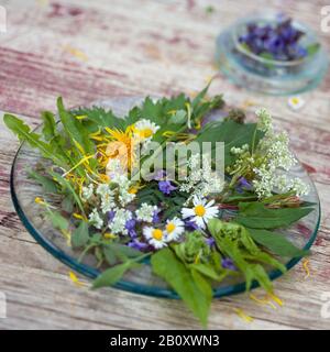 Frühlingssalat aus Wildkräutern, Deutschland Stockfoto