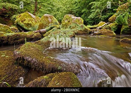 Rapids nannte Irreler Wasserfaelle des Naturparks Südeifel, Deutschland, Rheinland-Pfalz, Eifel, Irrel Stockfoto