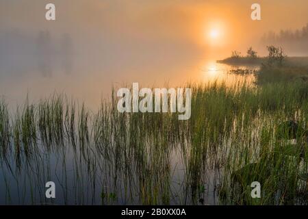 Morgendämmerung an einem Waldsee, Schweden, Lappland, Norrbotten Stockfoto