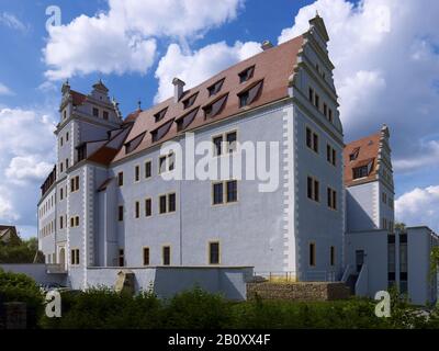 Schloss Osterstein in Zwickau, Sachsen, Deutschland, Stockfoto