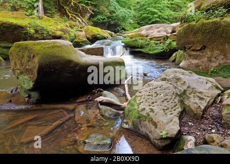 Rapids nannte Irreler Wasserfaelle des Naturparks Südeifel, Deutschland, Rheinland-Pfalz, Eifel, Irrel Stockfoto