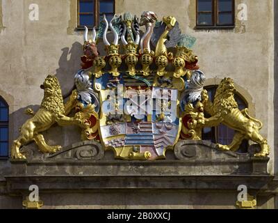 Wappen am Eingang von Schloss Hartenfels, Torgau, Sachsen, Deutschland, Stockfoto