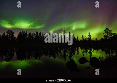 Polarlicht-Spiegelung auf einem See, Schweden, Lappland, Norrbotten, Schwedisch Lappland Stockfoto