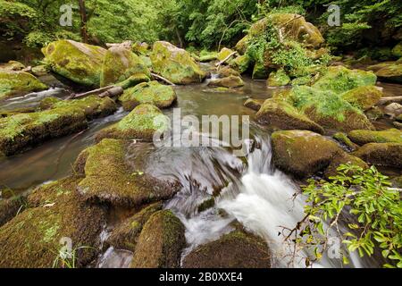 Rapids nannte Irreler Wasserfaelle des Naturparks Südeifel, Deutschland, Rheinland-Pfalz, Eifel, Irrel Stockfoto