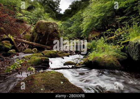 Rapids nannte Irreler Wasserfaelle des Naturparks Südeifel, Deutschland, Rheinland-Pfalz, Eifel, Irrel Stockfoto