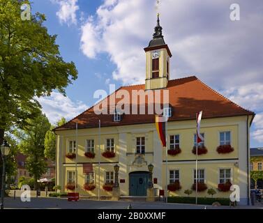 Rathaus in Angermünde, Uckermark, Brandenburg, Deutschland, Stockfoto