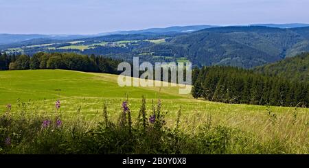 Blick von Simmersberg auf den Thüringer Wald bei Steinbach, Schnet, Landkreis Masserberg, Thüringen, Deutschland, Stockfoto