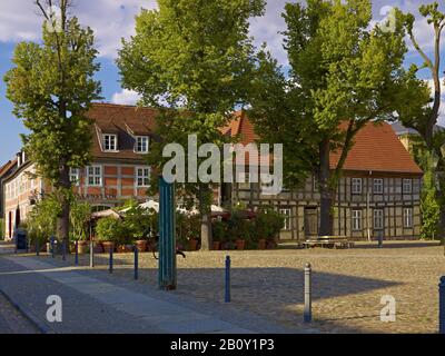 Fachwerkhäuser am Markt in Angermünde, Uckermark, Brandenburg, Deutschland, Stockfoto